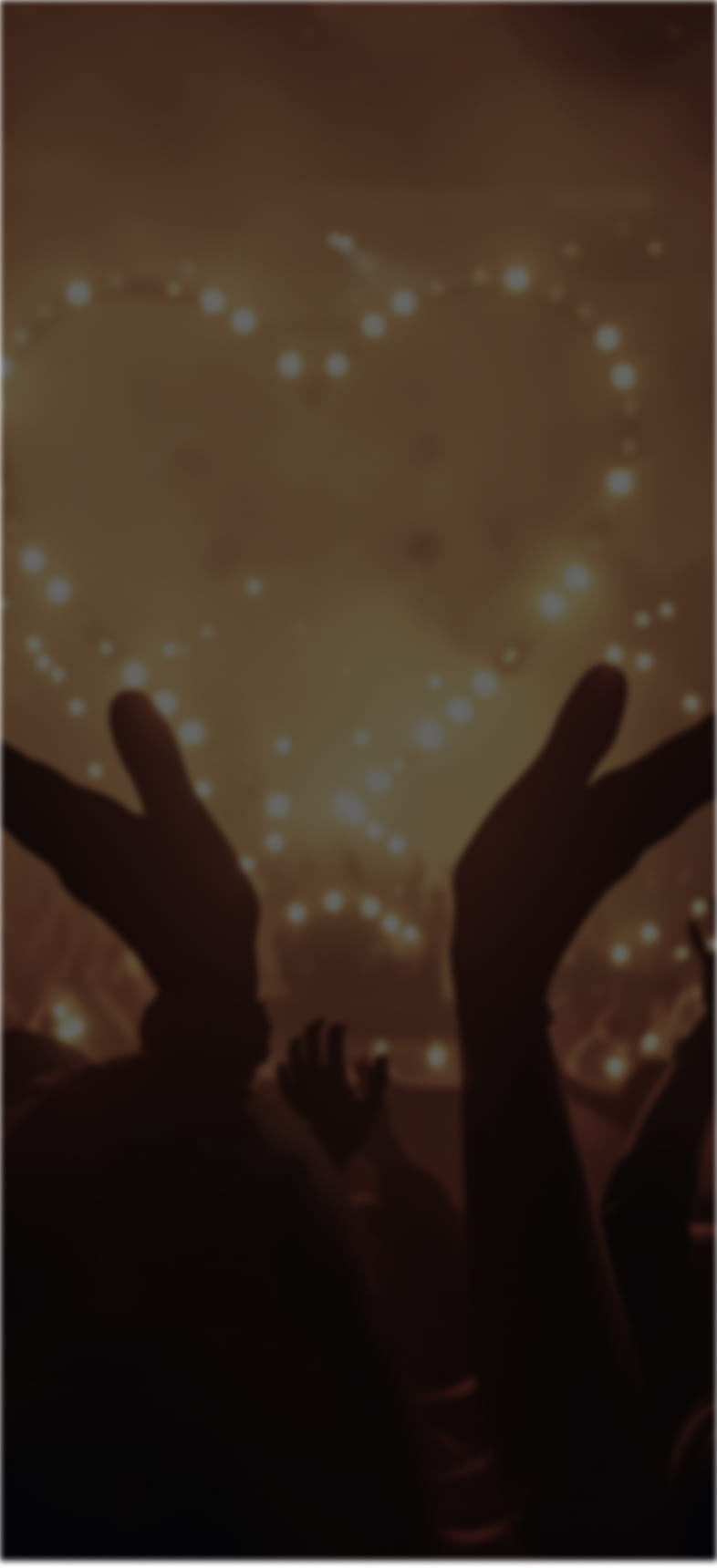 ライブ画像